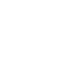Logo White
